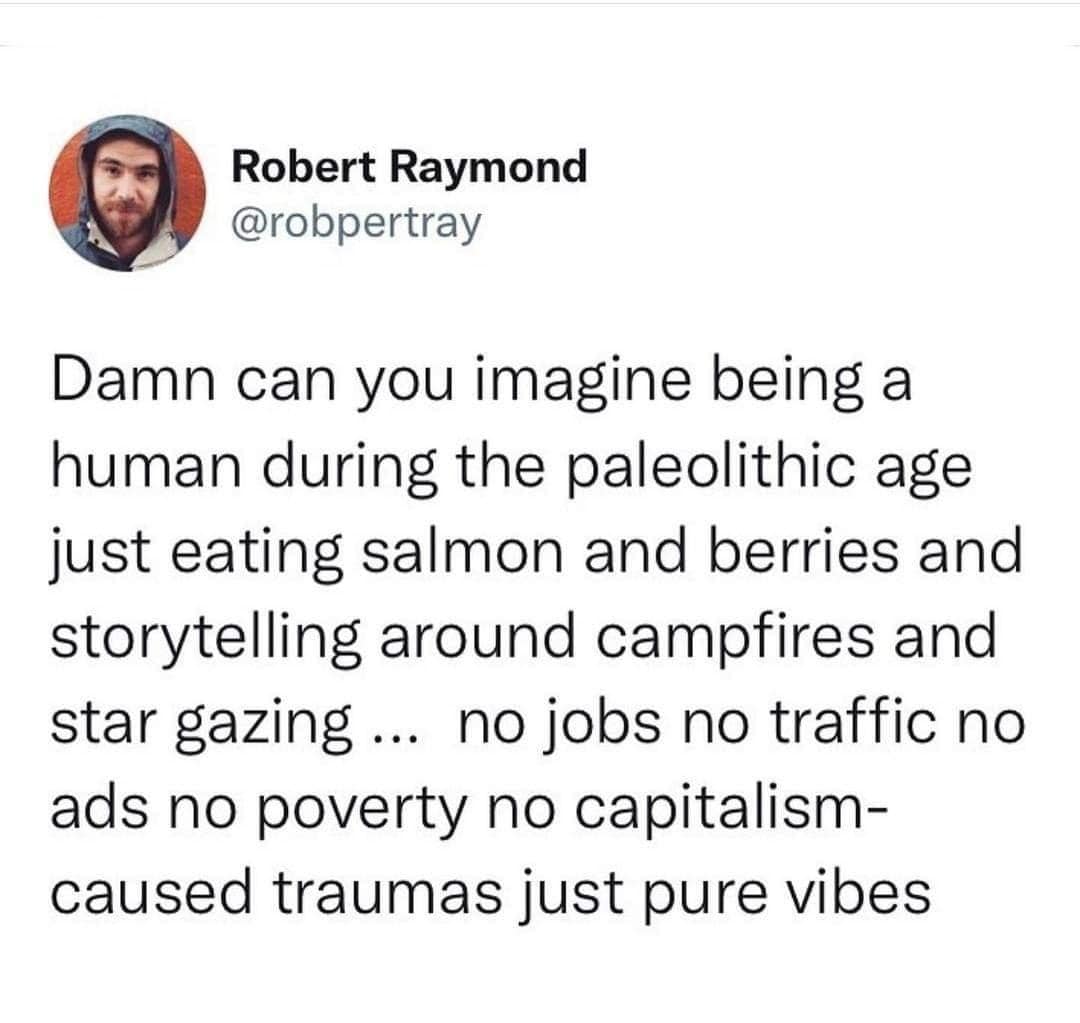 This meme is a humorous commentary on the modern human experience. The text reads, "Damn can you imagine being a human during the paleolithic age just eating salmon and berries and storytelling around campfires and star gazing... no jobs, no traffic, no ads, no poverty, no capitalism, no trauma, just pure vibes." The meme pokes fun at the idea of how much simpler and more peaceful life was in the past, compared to the modern world's many stresses and complexities.
